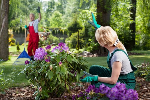 Eco-friendly recycling and sustainability in a North End garden