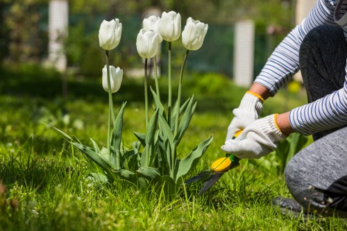 Overgrown garden being cleared in North End