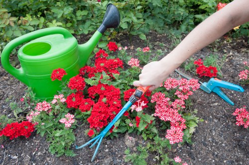 Weed control and soil maintenance in a North End garden border