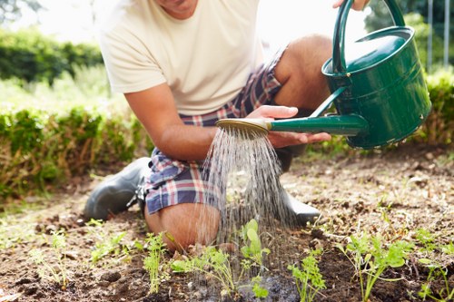 Front yard landscaping in North End with neat plant beds and curb appeal