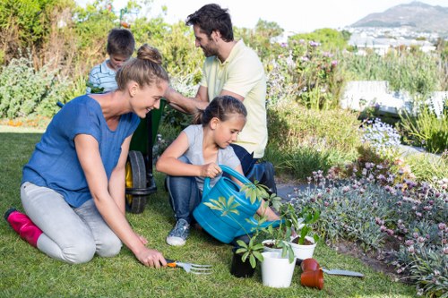 Professional garden maintenance in North End with seasonal care