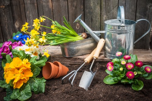 Professional gardening services in North End maintaining a neat residential garden