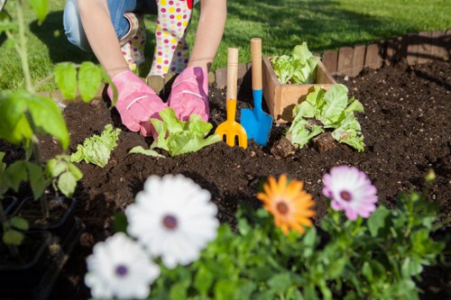 Low-maintenance landscaping in North End with trees, plants, and stone features