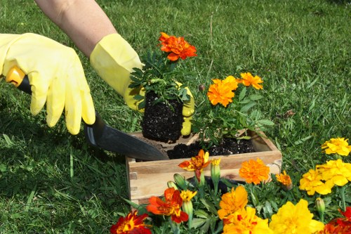 North End garden care team maintaining attractive and balanced landscapes