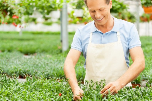 Seasonal garden maintenance in North End with healthy flowers and lawn care