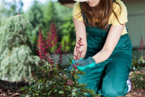 Seasonal garden care in North End with fresh plants and tidy pathways