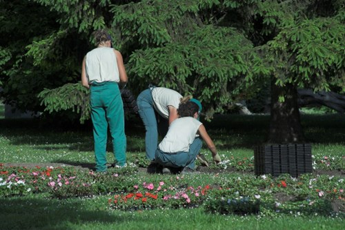 Professional garden maintenance work in North End with hedge trimming and cleanup