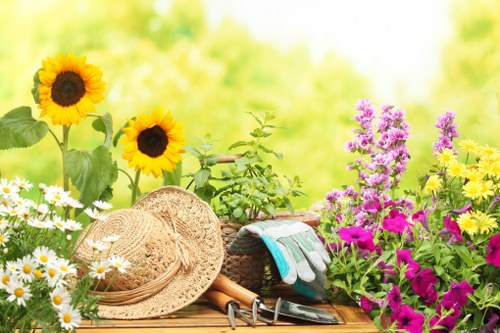 Professional patio cleaning equipment in North End outdoor space