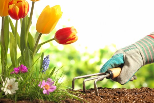 Professional lawn care results in North End