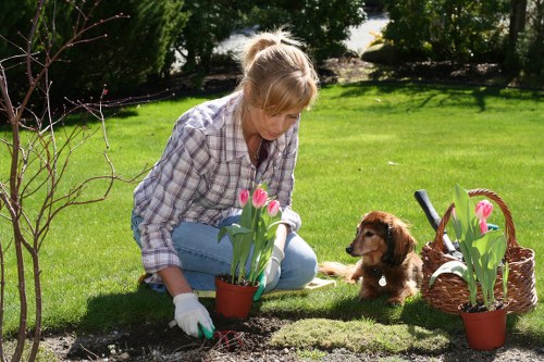Professional garden clearance work in North End