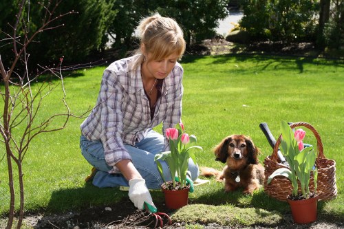 Zero-tolerance policy for exploitation at Gardeners North End