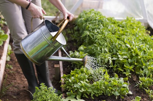 North End garden design showing soil-friendly planting and paved paths