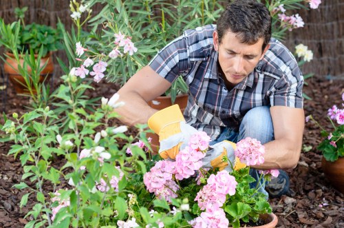 North End gardening team using public liability insurance backed service